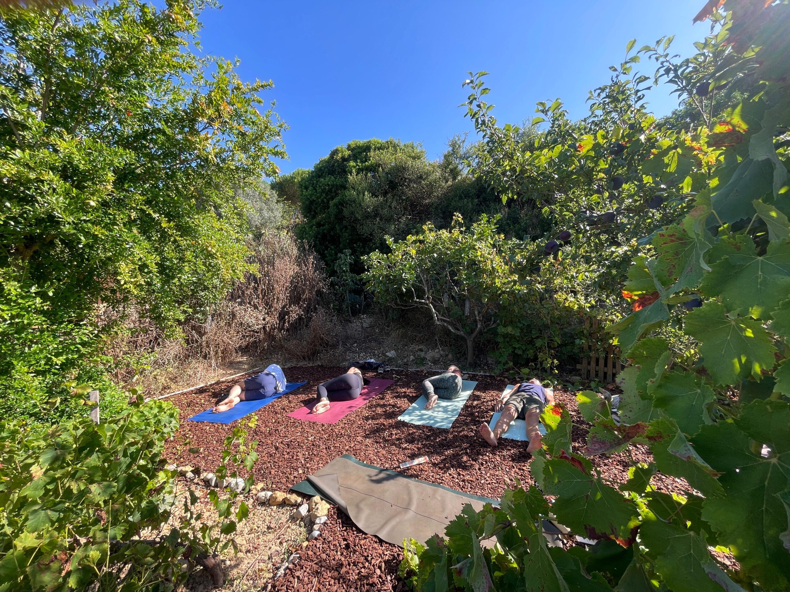 Yoga and wellbeing at Casa Nabia