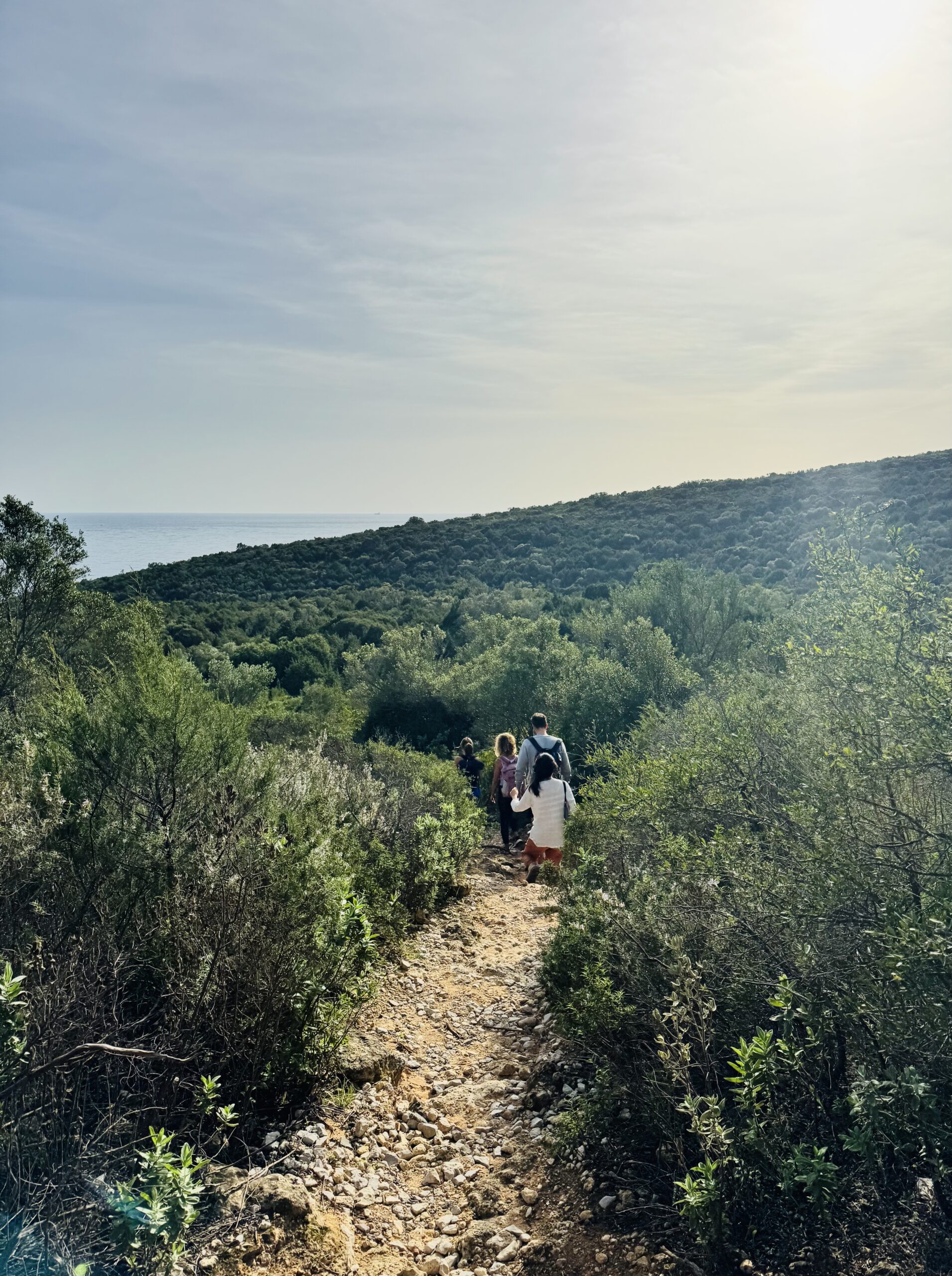 Local walks and Ericeira coastline